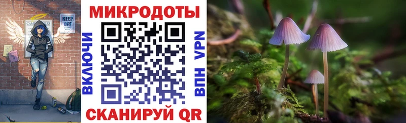 kraken ссылки  Ермолино  Галлюциногенные грибы Magic Shrooms 
